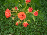 3b93cee1-Picture 3172.jpg